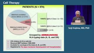 Aplastic Anemia by Dr Seiji Kojima [upl. by Sterrett633]