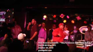 Pete Rock amp CL Smooth  They Reminisce Over You TROY Live [upl. by Tutto753]