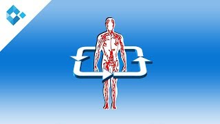 Atherosklerose  UrsachenSymptome Diagnose und Therapie [upl. by Schenck]