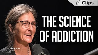 Living in a quotDopamine Nationquot The Neuroscience of Addiction w Anna Lembke [upl. by Schlicher]