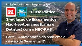 Simulação de Escoamento de Fluidos NãoNewtoniano Parte 1 Apresentação do problema e Geometria 1D [upl. by Carey]