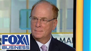 BlackRock CEO Larry Fink The economy is in a very good position [upl. by Ellerahs411]