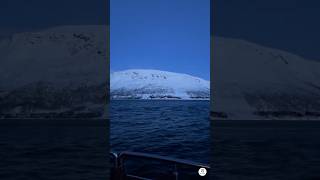 Norwegian cruise tour travel norway tromsø polarnight arctic norwegiancruises travelvideos [upl. by Harifaz158]