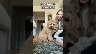 What does your dog do dogsoundchallenge [upl. by Ydnyc]