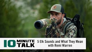 10MinuteTalk  5 Elk Sounds and What They Mean with Remi Warren [upl. by Eissel415]