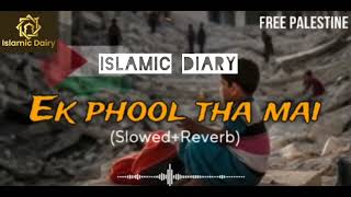 EK PHOOL THA MAI SlowedReverbFree palestineIslamic Diary [upl. by Sausa]