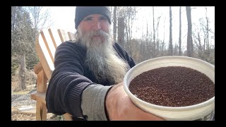 PERMACULTURE Food Forest  Part 8  You can BROADCAST SOW Wildflower Seeds to increase BIODIVERSITY [upl. by Feldt]