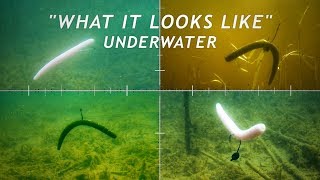 4 Wacky Rigging Methods  What it Looks Like Underwater [upl. by Johnathon]