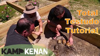 Testudo Tortoise Tutorial [upl. by Hermione]