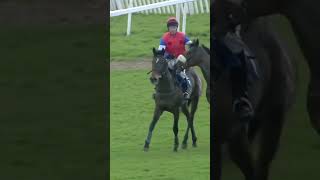 When you decide to lend a helping hand… horse horseracing racingtv sport britishhorseracing [upl. by Rufe441]