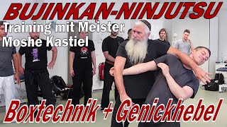 BujinkanNinjutsu Boxtechnik 1  Nackenhebel [upl. by Grof434]