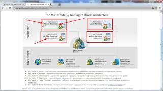 Обучение MetaTrader 4 Введение [upl. by Hemetaf]