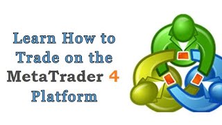 Mastering the META TRADER 4 Platform StepbyStep Guide for Beginners Billirichyfx [upl. by Suzie]