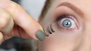 False Lashes  UNDER the Lash Line [upl. by Wylma]