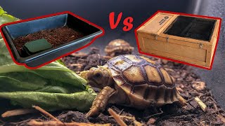 How to Set Up Your Baby Sulcata Tortoise Enclosure [upl. by Helbon]