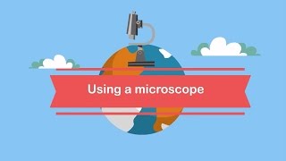 Using a microscope The parts and how to focus [upl. by Nelyt]