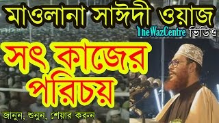 সৎ কাজের পরিচয়। Maulana Delwar Hossain Saidi Waz Video [upl. by Nnalorac]