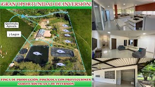 FINCA DE PRODUCCION – VEREDA 4 ESQUINAS – 850 MILLONES [upl. by Steward]