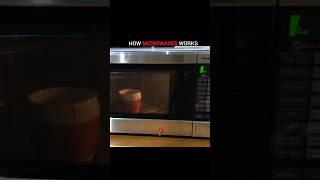 How the microwave oven cooks food❓ [upl. by Letnuahs]