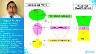 Pelvimetría  Planos de HODGE y LEE USAMEDIC  Obstericia 4 [upl. by Oretna657]