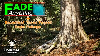 Fade Foliage Tree Leaves Trunk Grass Bush  Static Mesh Megascan in Unreal Engine [upl. by Enohs920]