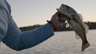 5 Tips to Catch More Bass on the Whopper Plopper [upl. by Sudhir]