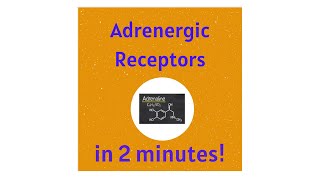 Adrenergic adrenaline noradrenaline Receptors in under 2 mins [upl. by Atsyrk]