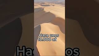 El desierto del Sahara no siempre fue así sahara desierto sabiasque datoscuriosos curiosidades [upl. by Nohtiek]