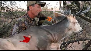 Deer smoked by Blowpipe plus Multiple dove Slocks Filmed in 5k [upl. by Rattan889]