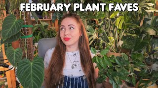 ✨️Fun February houseplant favorites✨️  little announcement🤭 [upl. by Nosac]