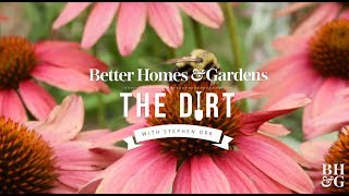 Plants That Support Pollinators  The Dirt  Better Homes amp Gardens [upl. by Iznil]