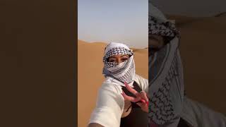 Dune Buggy Adventure and Rental in Dubai [upl. by Lhamaj]