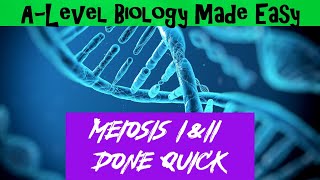 Meiosis I amp II  A Level Biology Made Easy [upl. by Nibram]