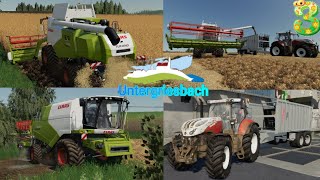 LS19FS19  Timelapse  Untergriesbach 3  Die erste Ernte🚜👨‍🌾🌾 ZutuzYT [upl. by Kunin]