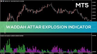 Waddah Attar Explosion Indicator for MT5  FAST REVIEW [upl. by Lebiralc]