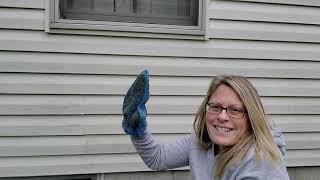 Norwex cleans your house siding [upl. by Anilys]