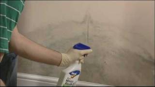 How to remove mould from walls and ceilings [upl. by Akiaki782]