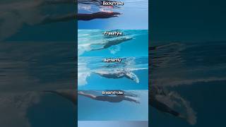 All 4 Swimming Stroke  whats your favourite  swimming learnswimming swimmingtips [upl. by Airres950]