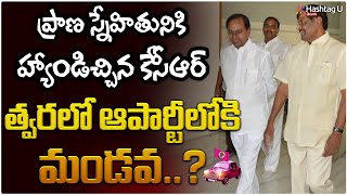 Mandava Venkateswara Rao To Contest In 2023 Elections  CM KCR  HashtagU [upl. by Allerus]