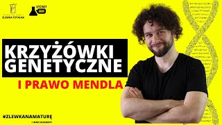 KRZYŻÓWKI GENETYCZNE I PRAWO MENDLA  Genetyka klasyczna Matura z biologii 2023 [upl. by Ardeha]