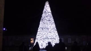 Longleat safari park dancing Christmas tree [upl. by Noirred626]