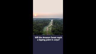 Is the Amazon Rainforest approaching it’s tipping point [upl. by Cassandre]