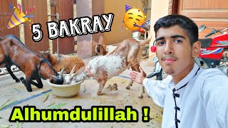 BAKRA EID VLOG 2023 🔥 QURBANI VLOG GOT EMOTIONAL 😭 Ibrahim Asim  Bakray qurban krdiye Alhumdulillah [upl. by Kezer]