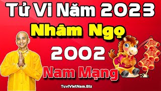 Xem tử vi tuổi Nhâm Ngọ 2002 năm 2023 Nam mạng  Quý nhân giúp đỡ tiền bạc sung túc [upl. by Ahsurej]