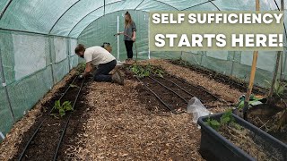 SELFSUFFICIENCY STARTS HERE  GROWING OUR OWN FOOD ON OUR HOMESTEAD  FARM  SMALL HOLDING [upl. by Figge]