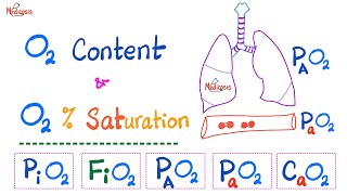 Oxygen Content  Oxygen Saturation SaO2   Oxygen Partial Pressure  Respiratory Physiology [upl. by Nawuq134]