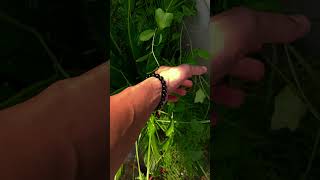 Increase your Aura With our Infinity Bracelet ♾️ viralvideo amazing handmade dailyvlog [upl. by Mita]