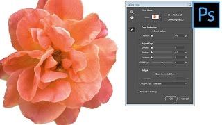 Photoshop CC  Restore the Refine Edge Tool [upl. by Draw]