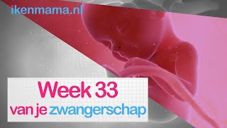 33 weken zwanger  ikenmamanl [upl. by Weinshienk]