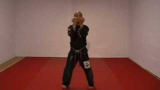 CASA DE KENPO  AMERICAN KENPO  LONG FORM 3 [upl. by Yragerg]